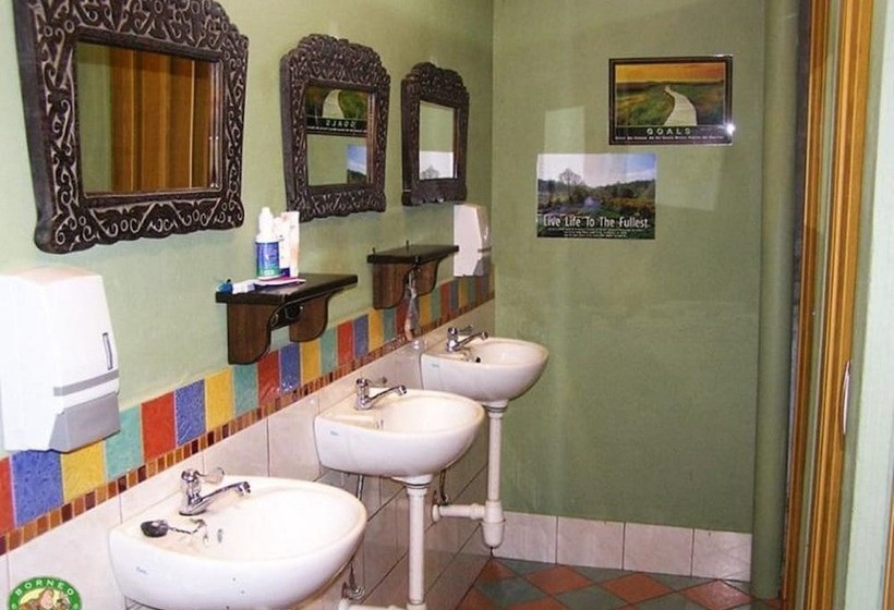 اتاق استاندارد چهار تخته, Borneo Backpackers