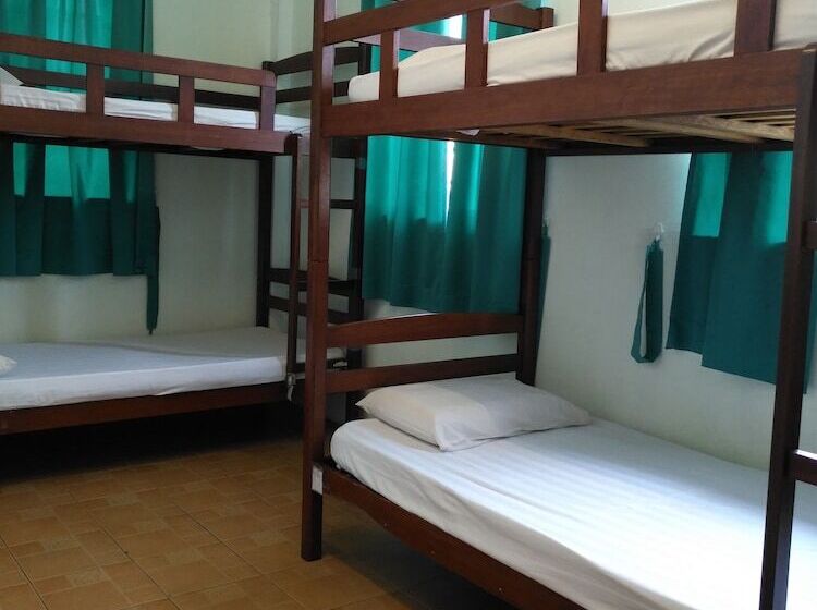 Standard Quadruple Room, Borneo Backpackers