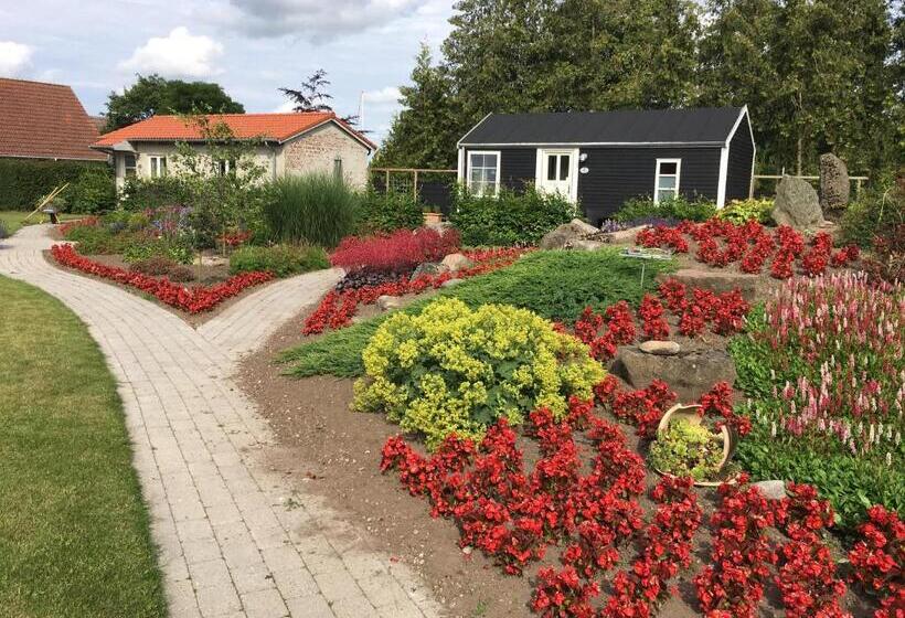 Студия Стандарт, Birkende Bed And Breakfast