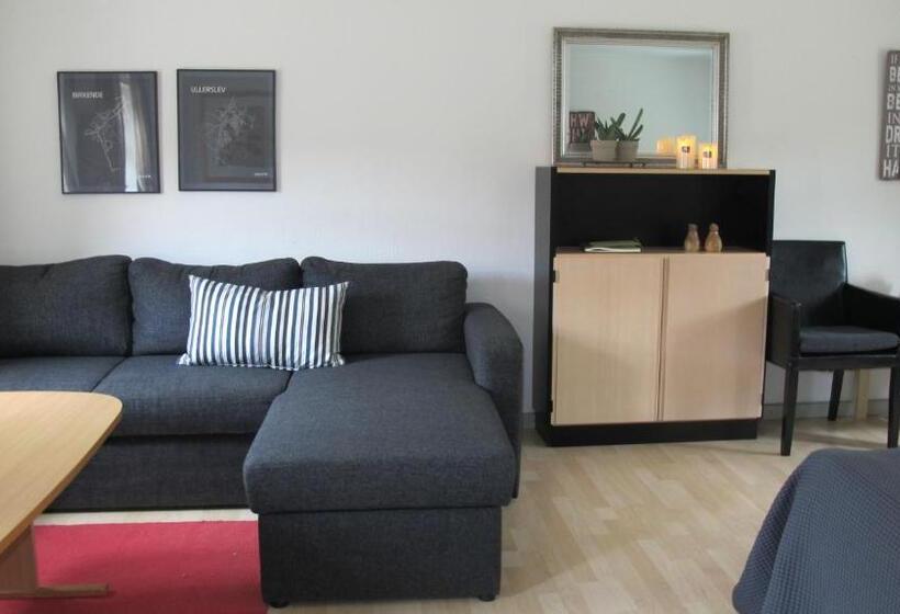 Семейный Номер Совместный Санузел, Birkende Bed And Breakfast
