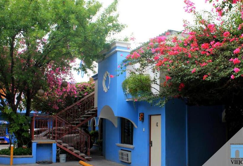 スタンダードトリプルルーム, Hacienda Del Viejo