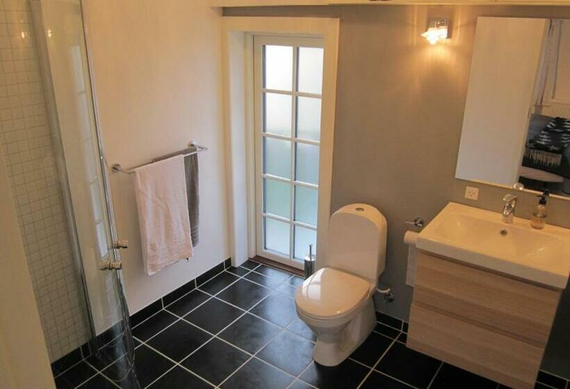 آپارتمان 1 خوابه با تراس, Tåsinge B&b