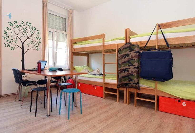 تختخواب در اتاق مشترک, Hostel Temza