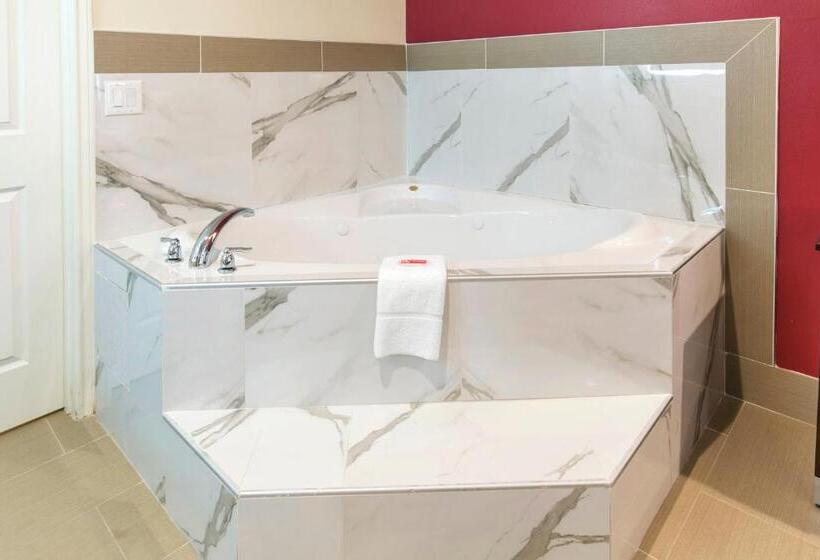 سوئیت با تخت بزرگ, Econo Lodge Inn & Suites Houston Willowbrook