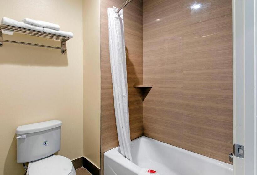 اتاق لوکس خانوادگی, Econo Lodge Inn & Suites Houston Willowbrook