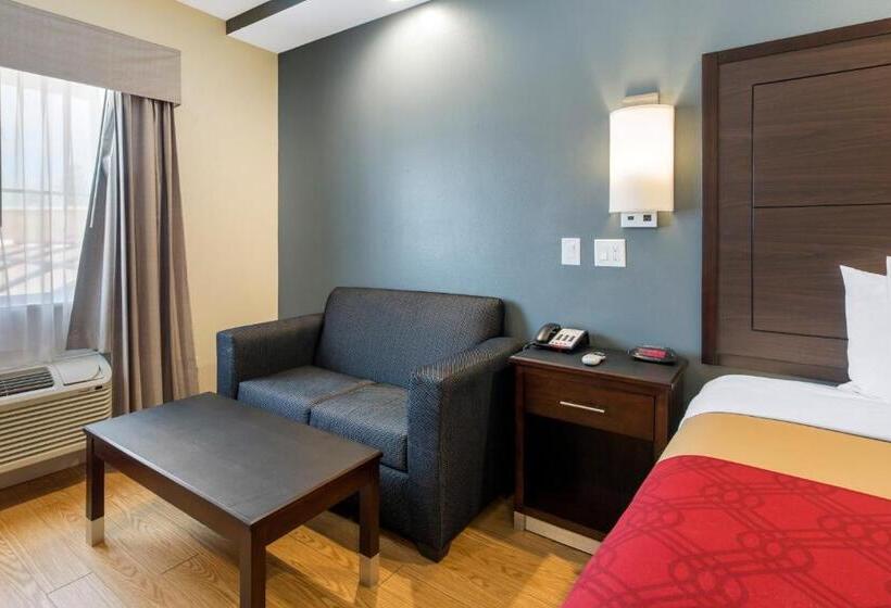 سوئیت با تخت بزرگ, Econo Lodge Inn & Suites Houston Willowbrook