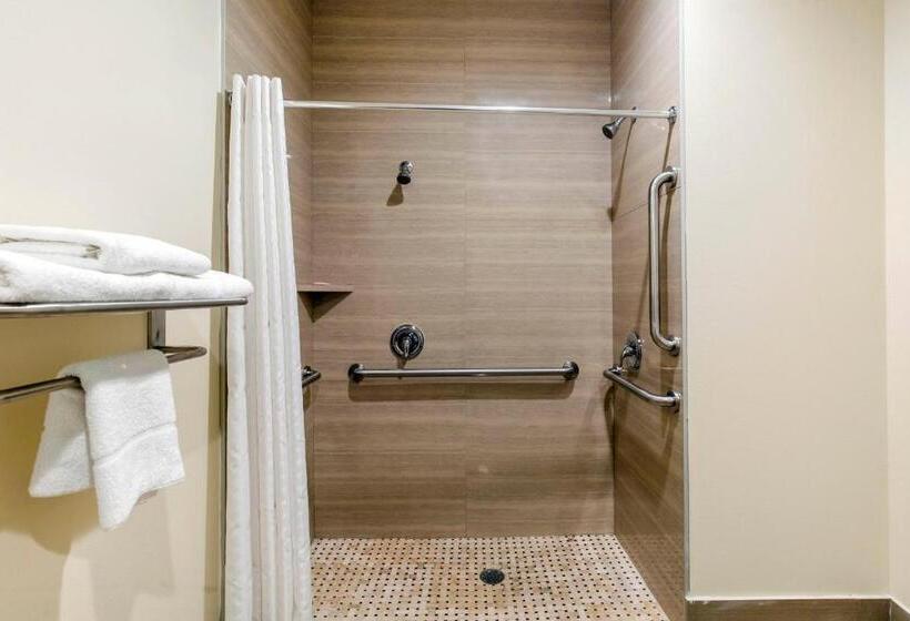 اتاق خانوادگی, Econo Lodge Inn & Suites Houston Willowbrook