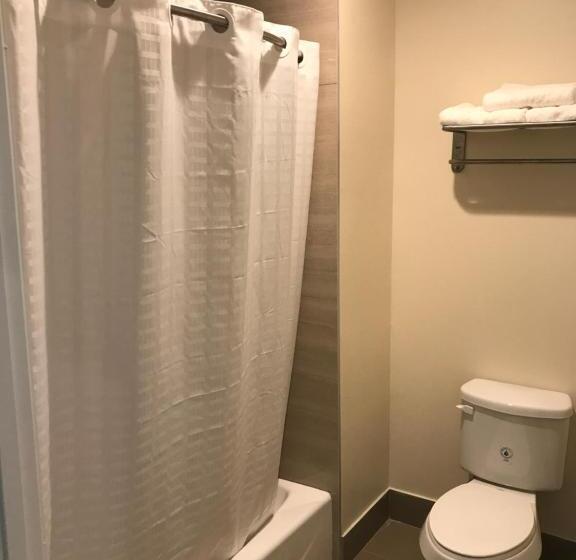 اتاق لوکس خانوادگی, Econo Lodge Inn & Suites Houston Willowbrook