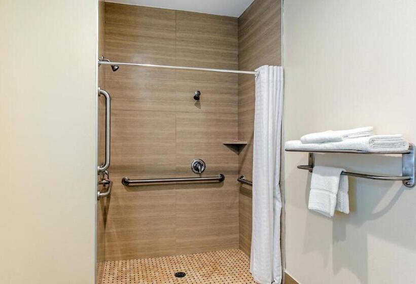 سوئیت با تخت بزرگ, Econo Lodge Inn & Suites Houston Willowbrook