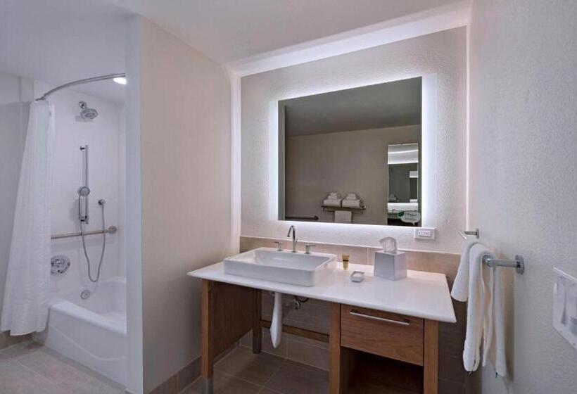 Стандартный Номер Кровать Кинг, Element Palmdale