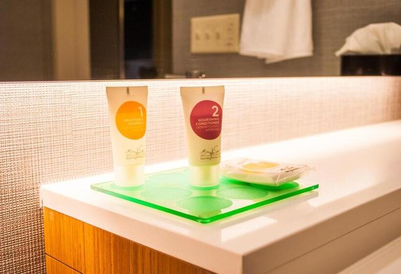 Номер Стандарт Верхний Этаж, Hyatt Place Blacksburg/university