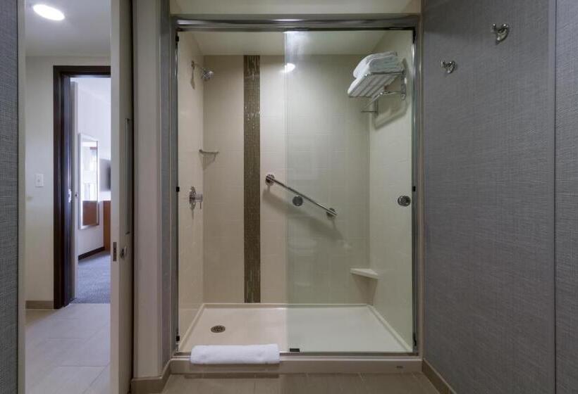 Люкс Кровать Кинг, Hyatt Place Blacksburg/university