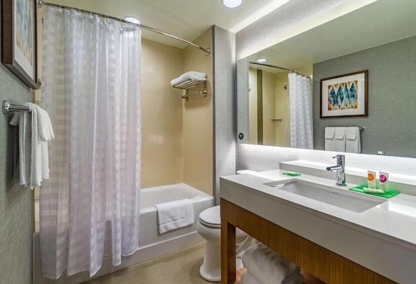 Номер Стандарт Двуспальная Кровать, Hyatt Place Blacksburg/university