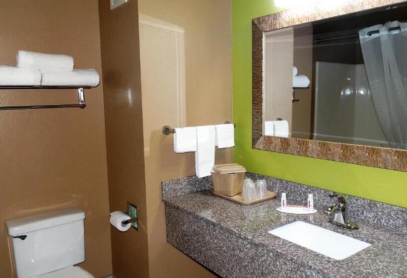带大床的套房, Oak Tree Inn & Suites