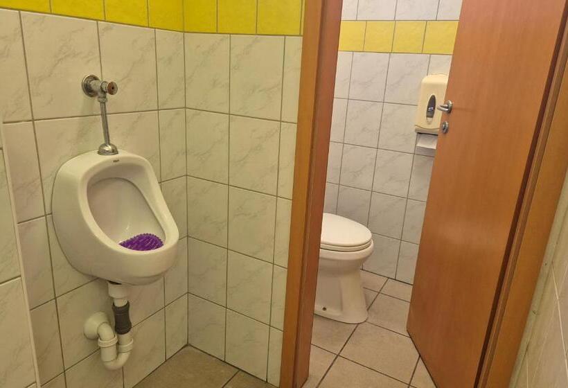 اتاق استاندارد سه تخته با سرویس بهداشتی مشترک, Bled Lesce Station Rooms And Beds
