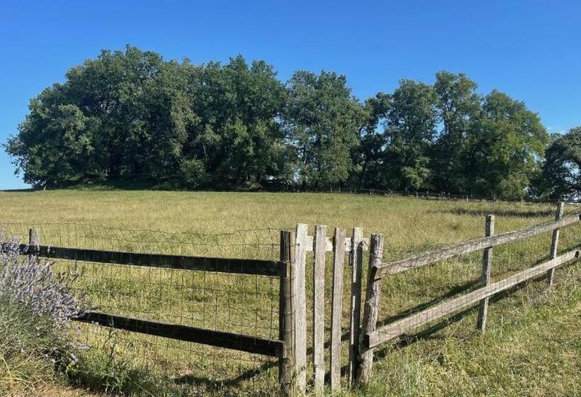 Четырехместный Номер Стандарт Вид на Сад, Hameau Du Hour   Chambre D Hôtes Et Gîtes