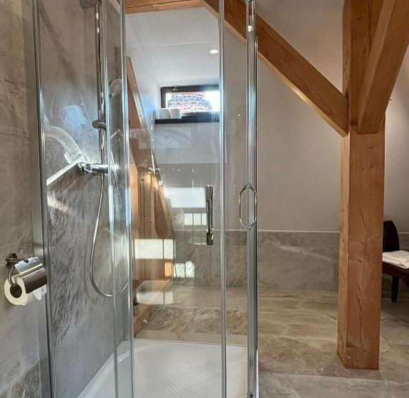 اتاق استاندارد, Boutique Hotel Barvirna