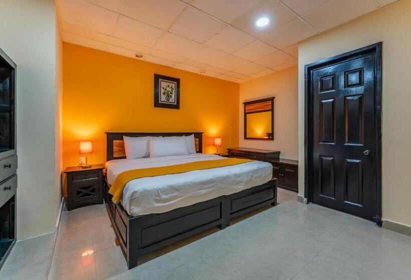 اتاق سوپریور با تخت بزرگ, Plaza Mirador, Ciudad Del Carmen