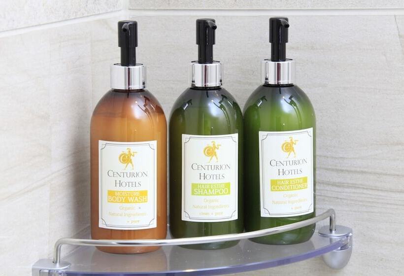 수피리어 룸, Centurion Hotel Classic Nara Station