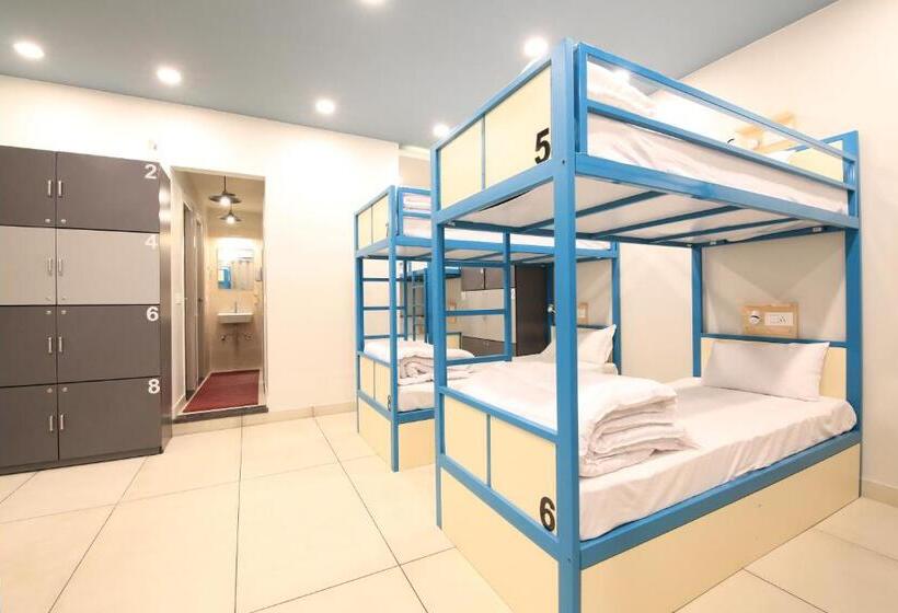 共用房间的床, Blue Beds Hostel