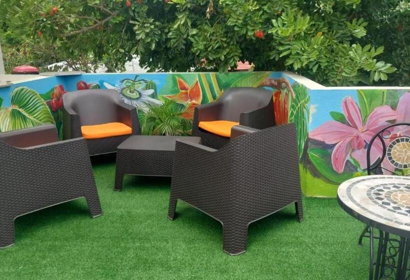 اتاق لوکس, Dancehall Hostel