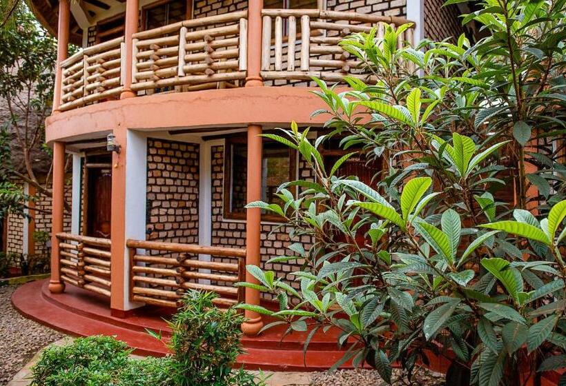 اتاق استاندارد سه تخته با چشم‌انداز استخر, Elite Backpackers Services