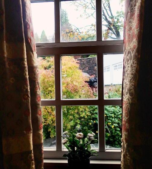 Номер Стандарт, Lime Tree