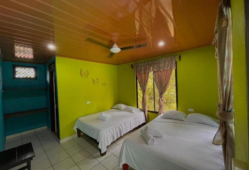 Четырехместный Номер Стандарт, Los Amigos Jungle Hotel Tortuguero