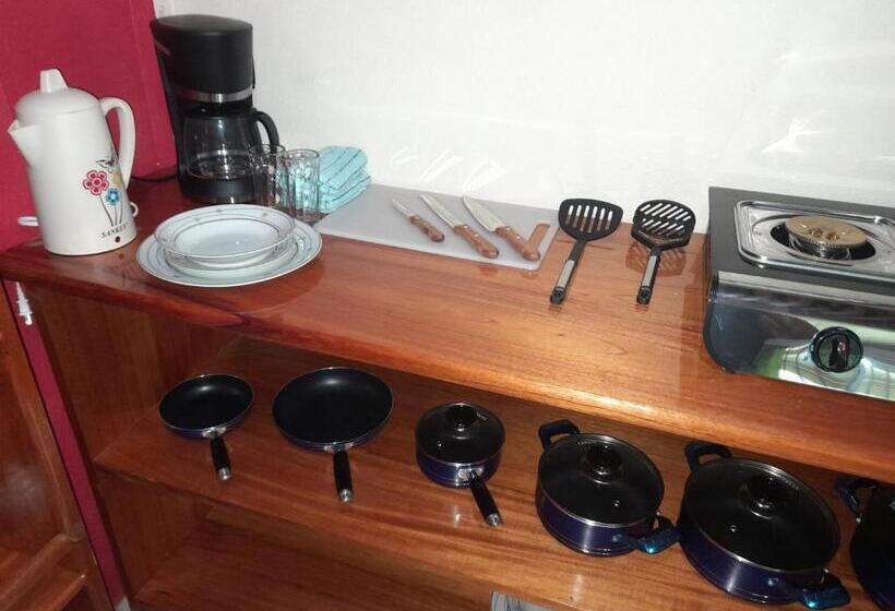 Апартаменты 1 Спальня, Hostel Osa Tucan Drake