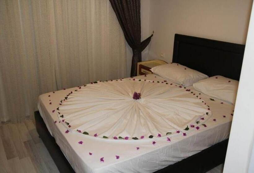 اتاق استاندارد, Dostlar
