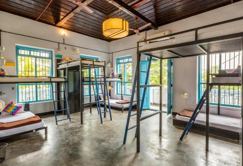 공동 객실, Gostops Alleppey