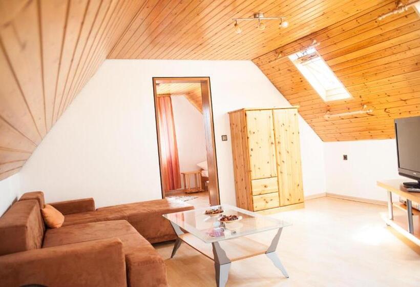 דירת חדר, City Hotel Hanau