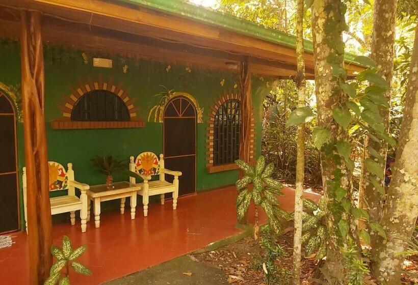 Номер Superior, La Palapa Hut Nature Hostel