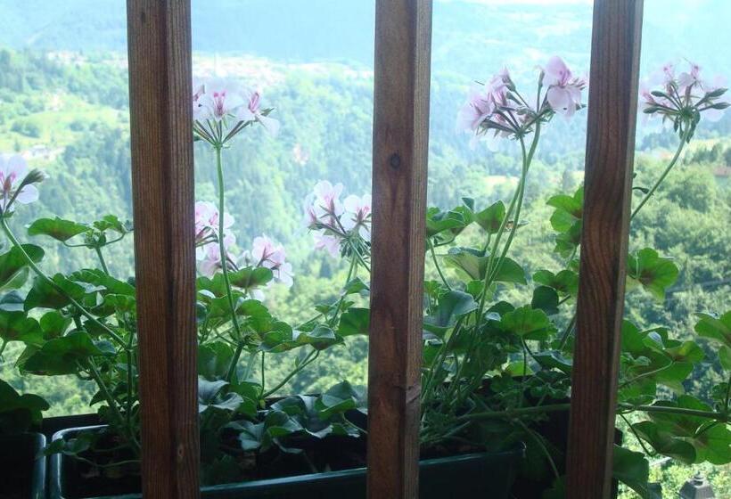Четырехместный Номер Стандарт, B&b Val Maschi