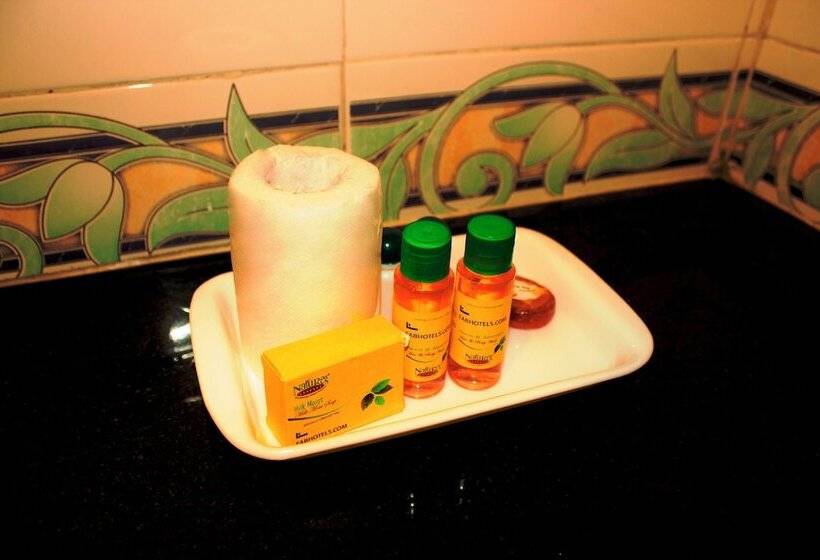 غرفة ديلوكس, Fabhotel Sarwan