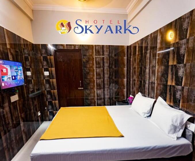 高级大房间, Skyark