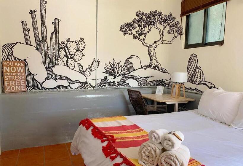 带大床的标准间, Perro Surfero Todos Santos