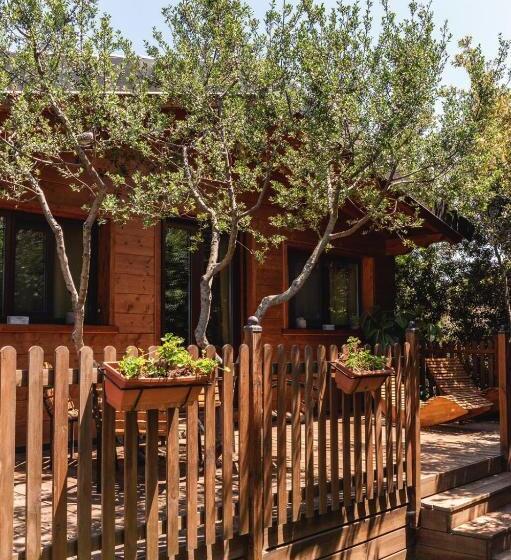ویلای یک اتاق خوابه با استخر شنا, Masseria Montanaro