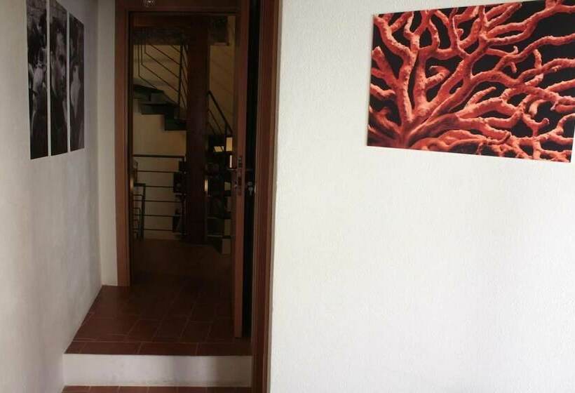 标准间, Il Lupo Rosso