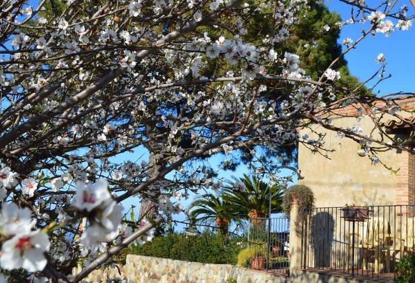 اتاق استاندارد سه تخته با چشم‌انداز باغ, Villa Quiete