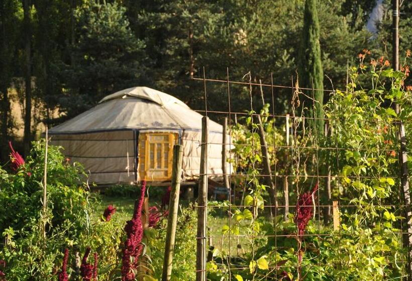 Номер Стандарт, La Source, Vegetarian Guest House