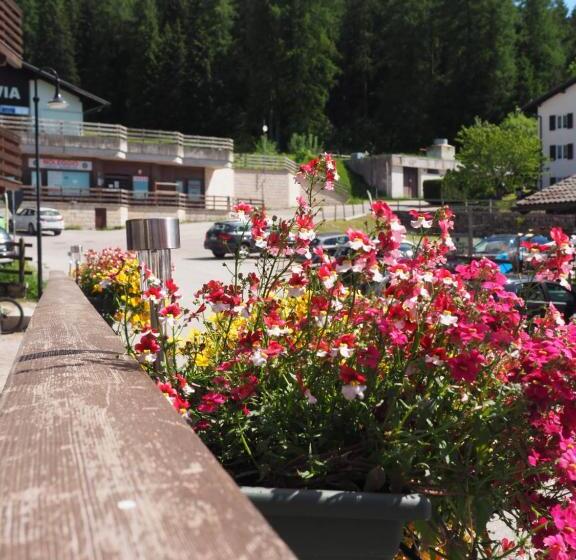 Номер Стандарт, B&b Francolini
