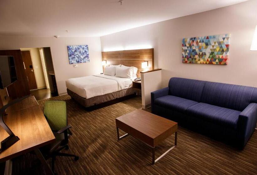 장애인을 위한 킹사이즈 침대 스탠다드 룸, Holiday Inn Express & Suites   Gettysburg, An Ihg