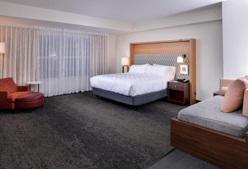 Стандартный Номер Кровать Кинг, Holiday Inn & Suites   Farmington Hills   Detroit Nw, An Ihg