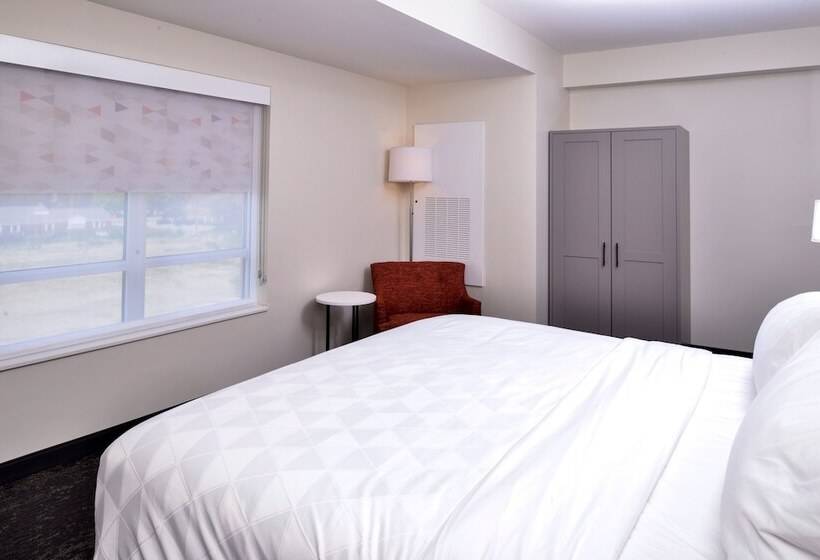 Люкс Адаптированный для Инвалидов, Holiday Inn & Suites   Farmington Hills   Detroit Nw, An Ihg