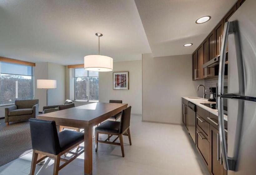 스위트 킹사이즈 침대, Hyatt Place Marlborough/apex Center