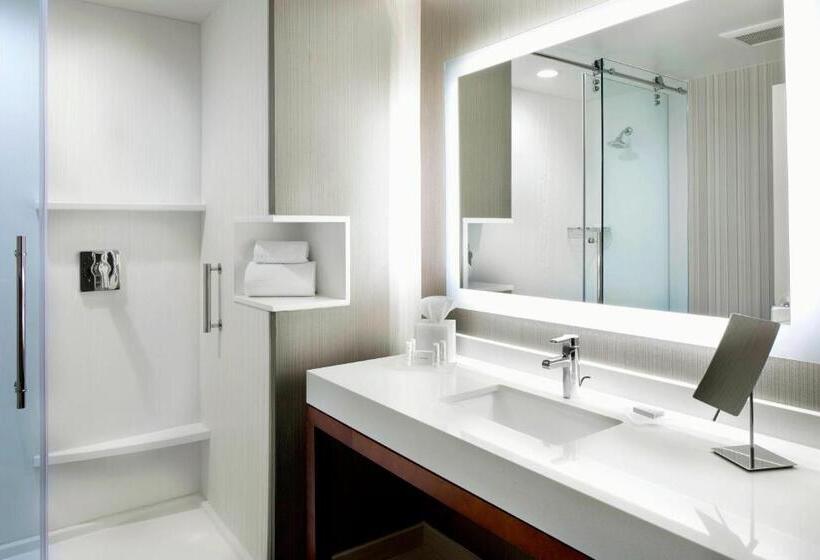 スタンダードルーム, Courtyard By Marriott Houston Intercontinental Airport