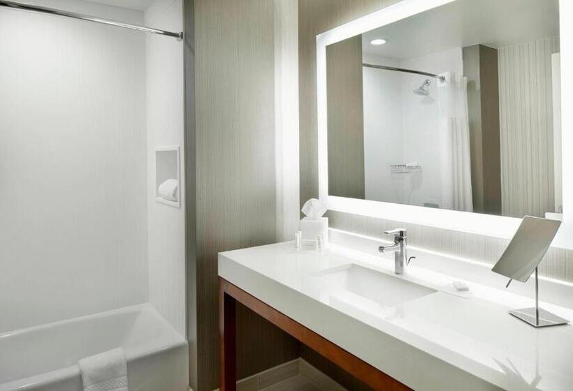 Superior-huone King-vuode, Courtyard By Marriott Houston Intercontinental Airport