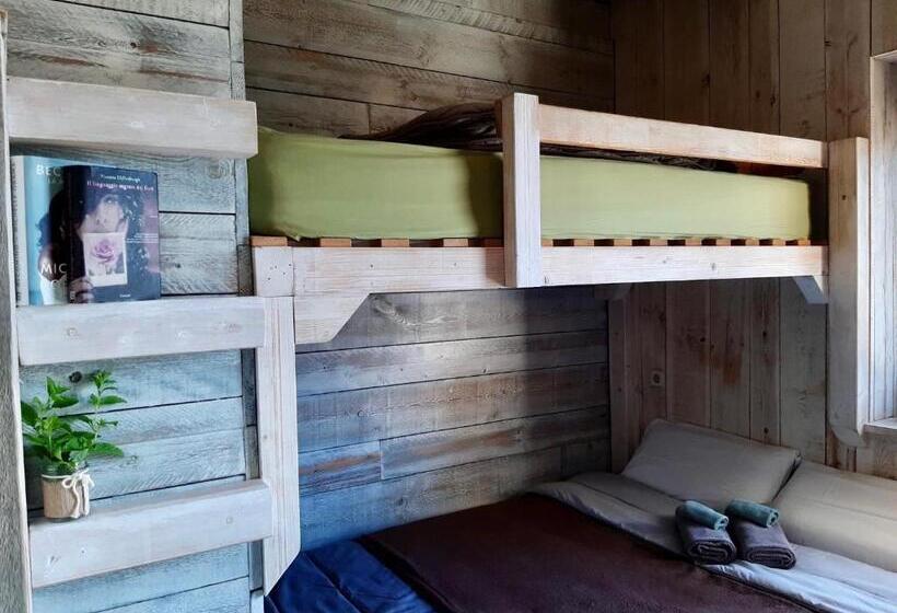 Номер Стандарт, Alberg Taull