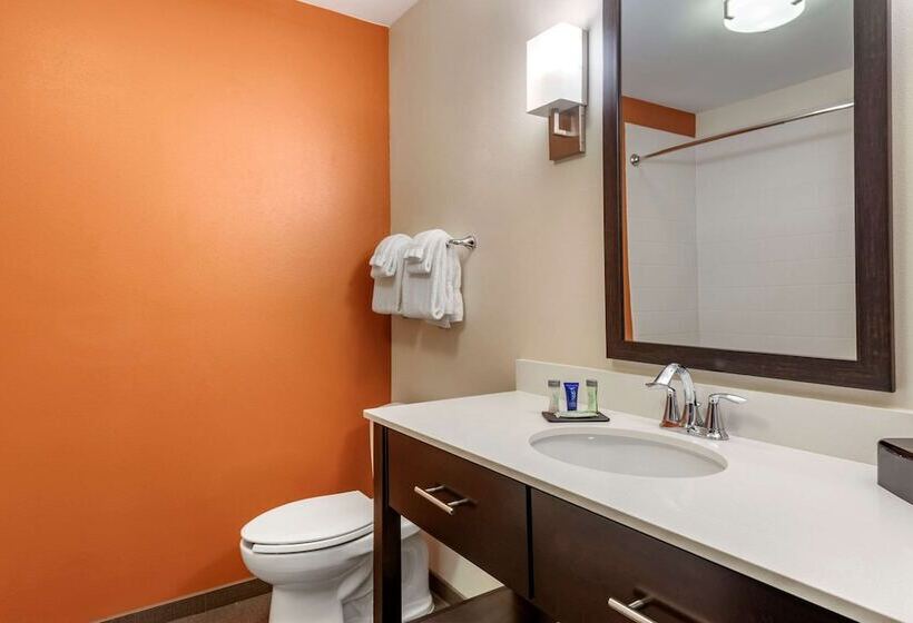 Люкс Адаптированный для Инвалидов, Sleep Inn & Suites Moab Near Arches National Park